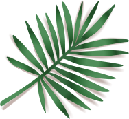 elements-summer-sale-banner-NK5W2VA_leaf_6.png