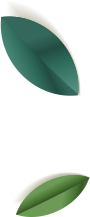 elements-summer-sale-banner-NK5W2VA_leafs.png