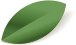 elements-summer-sale-banner-NK5W2VA_leafs_2.png